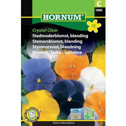 Hornum Stedmoderblomst, bl., Crystal Clear C Blomsterfrø