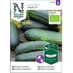 Nelson Garden Økologisk Frilandsagurk frø, Profi F1 Grøntsagsfrø