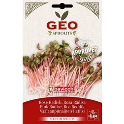 Geo Rosa Rädisfrö Sv EKO 20g