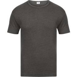 Absolute Apparel Mens Thermal Short Sleeve T-Shirt (Charcoal)