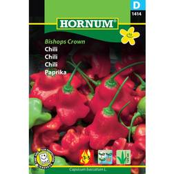 Hornum Chili 'Bishops Crown', frö