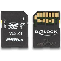 DeLock SD Speicherkarte 256GB