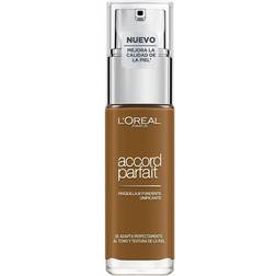 L'Oréal Paris Foundation 30 ml Braun