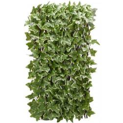 Smart Garden Ivy Green Leaf Expandable Trellis 60x180cm