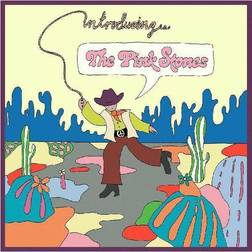 Introducing..The Pink Stones (Vinyl)