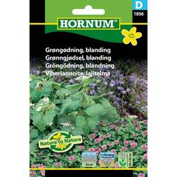 Hornum Grøngødning, blanding D 1856 Blomsterfrø