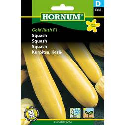 Hornum Squash Frø, Gold Rush F1 Grøntsagsfrø