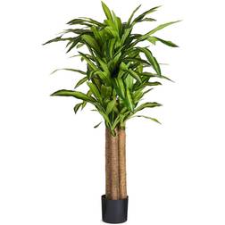 Evergreen Kunstig Dracaena Drage Plant Dracena Tree Plant Blomsterfrø