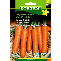 Hornum Gulerod, Vinter-, Lange rote C 1258 Grøntsagsfrø