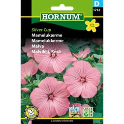 Hornum Mamelukærme frø, Silver Cup Blomsterfrø