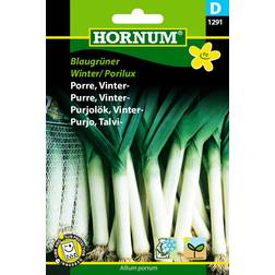 Hornum Porre, Vinter-, Blaugrüner Krydderurtefrø