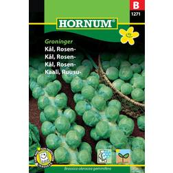 Hornum Kål, Rosen-, Groninger Grøntsagsfrø