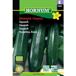 Hornum ØKO, Squash, Partenon F1