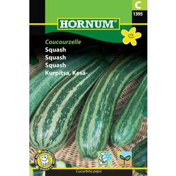 Hornum Squash Frø, Coucourzelle