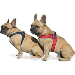 Tre Ponti Fibbia Small Dog Harness, 3.5