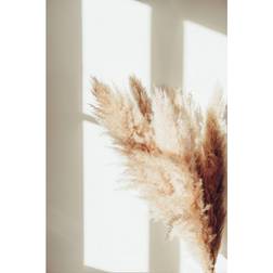 Venture Home Poster Pampas Beige Poster 50x70cm