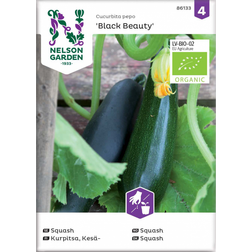 Nelson Garden Squash, Black Beauty, Organic Grøntsagsfrø