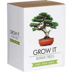 Gift Republic Grow It Bonsai Trees Plantesæt
