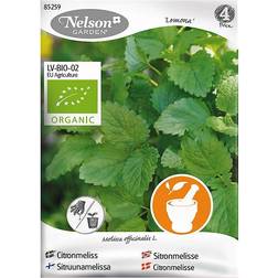 Nelson Garden Fröer Citronmeliss Lemona Grøntsagsfrø
