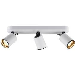 Trio Lighting Pago Spotlight