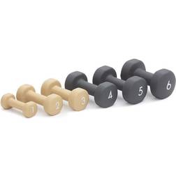 Abilica Dumbbell 10 kg