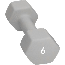 Abilica Dumbbell 6 kg