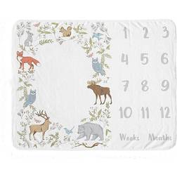 Sweet Jojo Designs Woodland Toile Milestone Baby Blanket