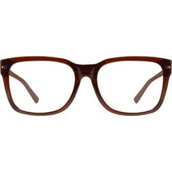 Revo Taylor Polarized Sunglasses - Brun/Transparent Brown