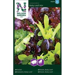 Nelson Garden Fröer Sallat Baby Leaf Mix