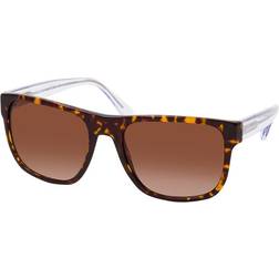 Emporio Armani EA 4163 587913