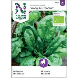 Nelson Garden Spenat, Vroeg Reuzenblad, Organic Blomsterfrø