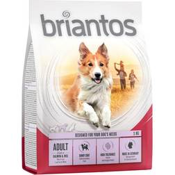 briantos Adult Salmon & Rice 4x1kg