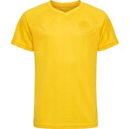 Hummel Kid's Denmark Goalkeeper Shirt WC 2022 - Sports Yellow