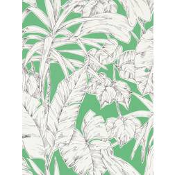 Scion Parlour Palm 112024