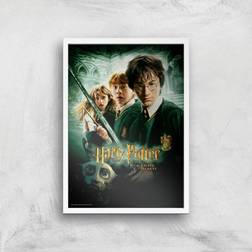 Warner Bros Harry Potter and the Chamber Of Secrets Giclee A2 Framed Art