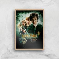 Warner Bros Harry Potter the Chamber Of Secrets Giclee A2 Framed Art