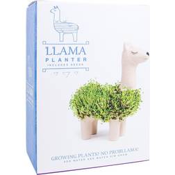 Firebox Lama Odla krukke karse Blomsterfrø