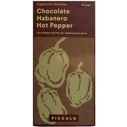 Piccolo Seeds Habanero Chocolate Hot Pepper