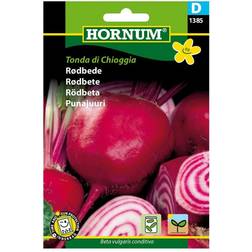 Hornum Rødbede Frø, Tonda di Chioggia Grøntsagsfrø