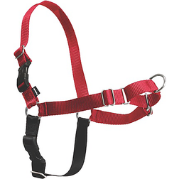 PetSafe Easy Walk Dog Harness