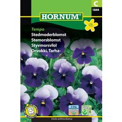 Hornum Stedmoderblomst frø, Tempo