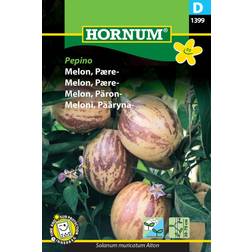 Hornum Päronmelon 'Pepino' frö