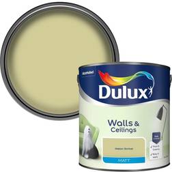 Dulux Standard Melon Sorbet Matt Ceiling Paint, Wall Paint Blue, Black