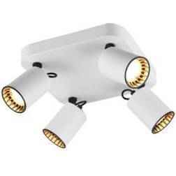 Trio Lighting Pago Spotlight