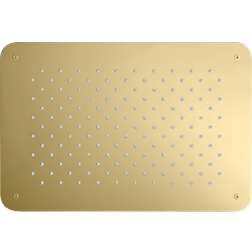 Tapwell Loftbrusehoved ZSOF092 Guld, Messing