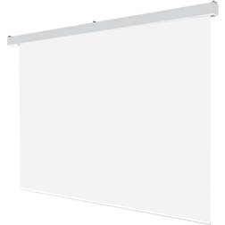 Grandview Large-Stage 1:1 Motor Screen