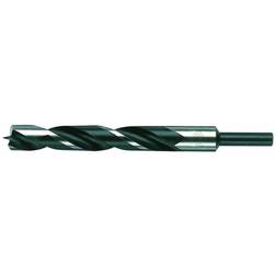 C.K Tools T3035 10 Wood Drill Bit 10mm