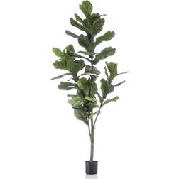 Emerald violinfigen Ficus Lyrata Kunstig plante