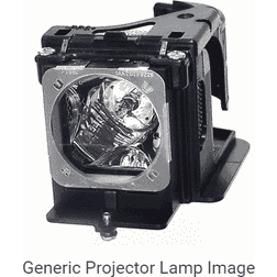 Epson ELPLP87 Beamerlampe