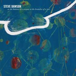 Dawson Steve At The Bottom Of A Canyon In The Branche (Vinyl)